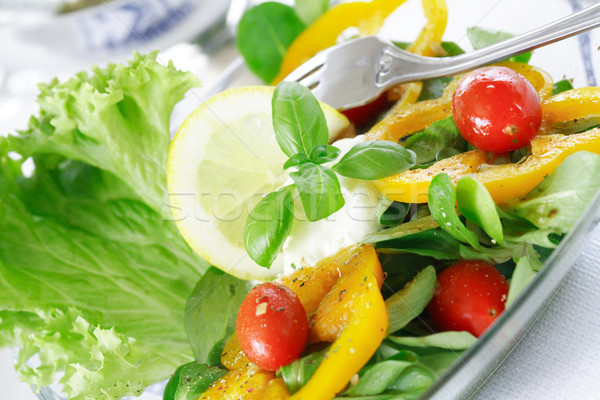 161254_stock-photo-delicious-vegetable-salad-with-low-calorie.jpg